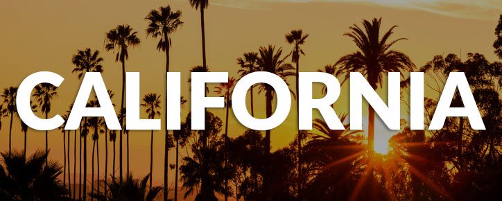 California State Banner