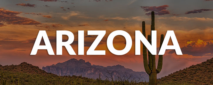 Arizona State Banner