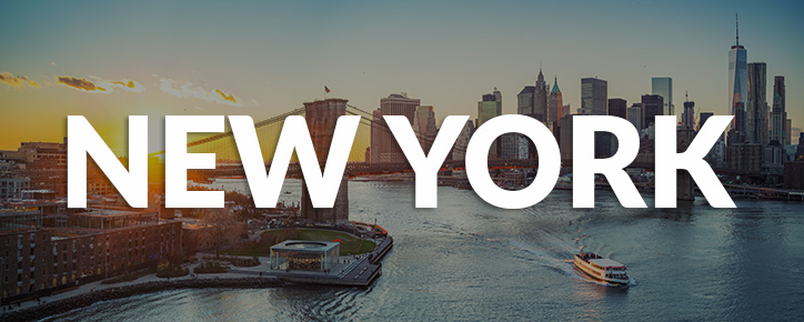 New York State Banner