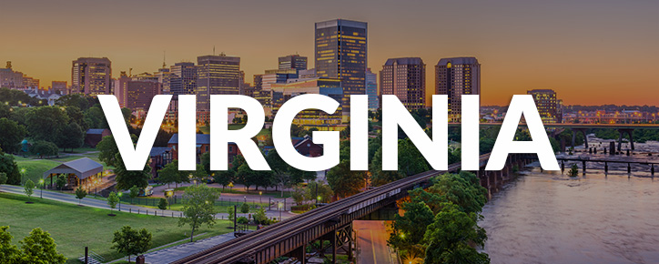 Virginia State Banner