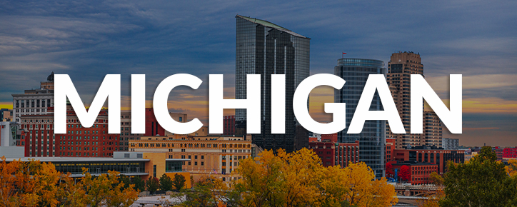 Michigan State Banner