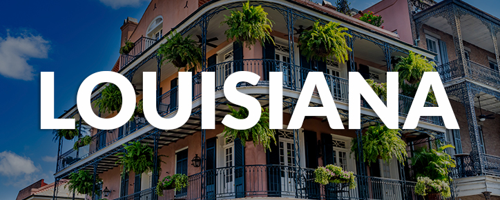 Louisiana State Banner