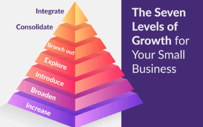 The Seven Levels of Growth for Your Small Business 