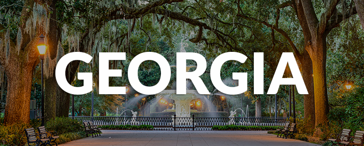 Georgia State Banner