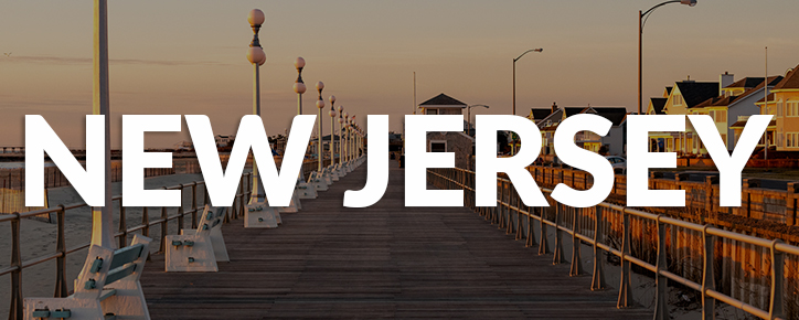 New Jersey State Banner