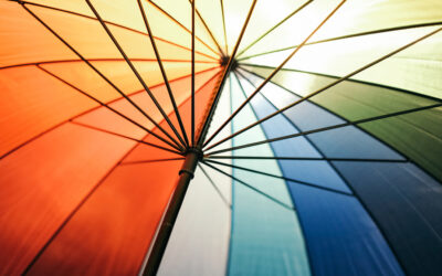 Essential Commercial Insurance Policies for Small Businesses 