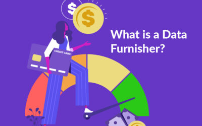 What is a Data Furnisher for Small Business Credit Reporting?